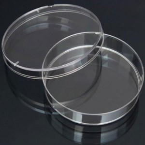 پلیت 8 سانت 12عددی