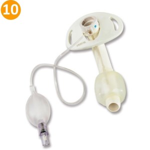 تراک شایلی 6/4 کاف دار